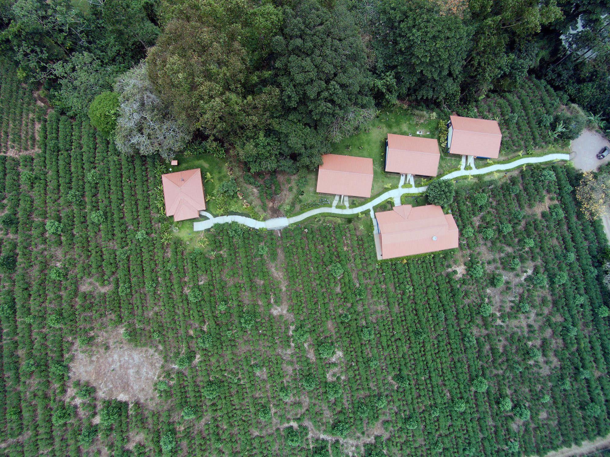 Boutique La Casona Del Cafetal